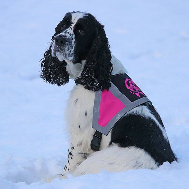 Canelana reflective vest