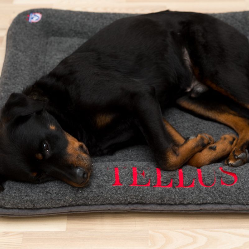 Canelana 100% ull seng hund i bestilt farge og/eller brodert nav