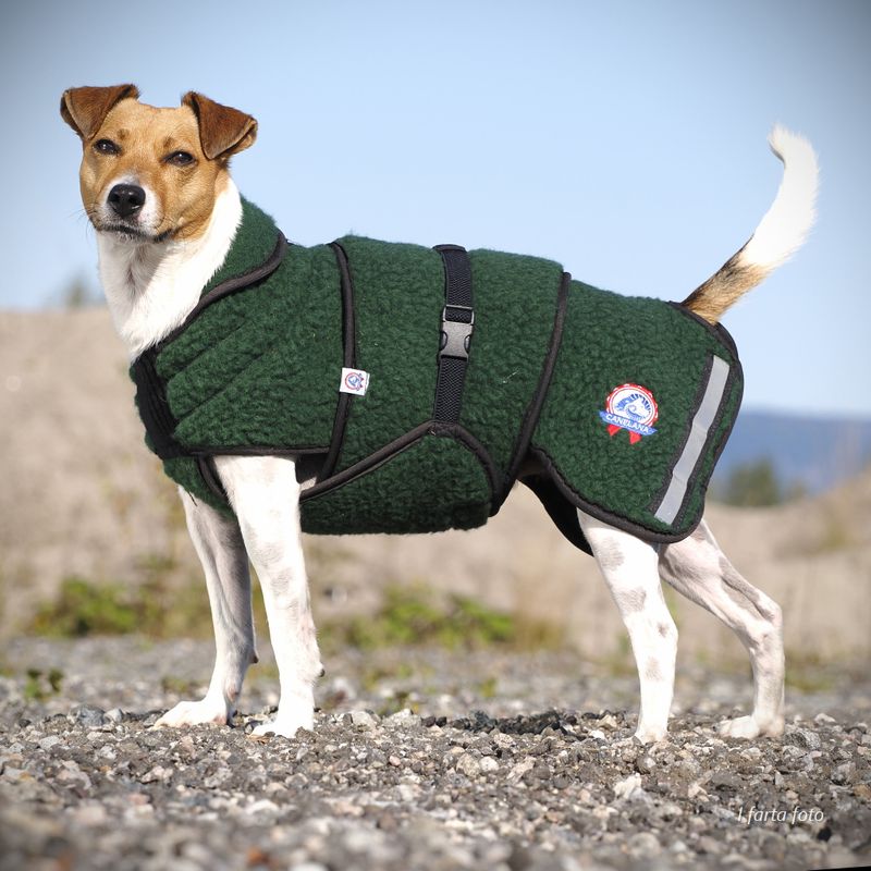 Selva wool coat dog