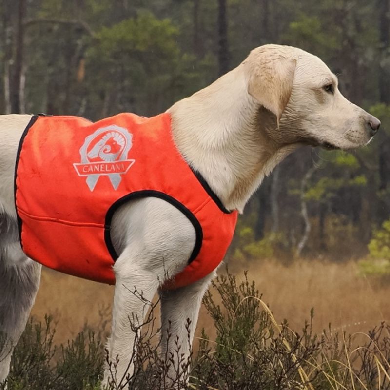 VISIO synlighets- og jaktdekken