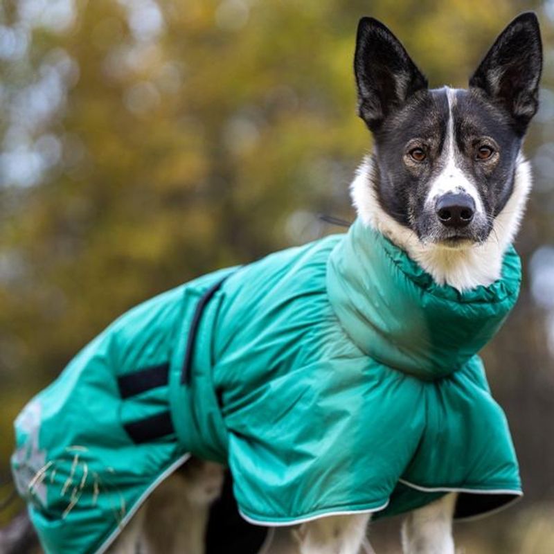 Active - aktivitetsdekken med høy hals og ullfor
