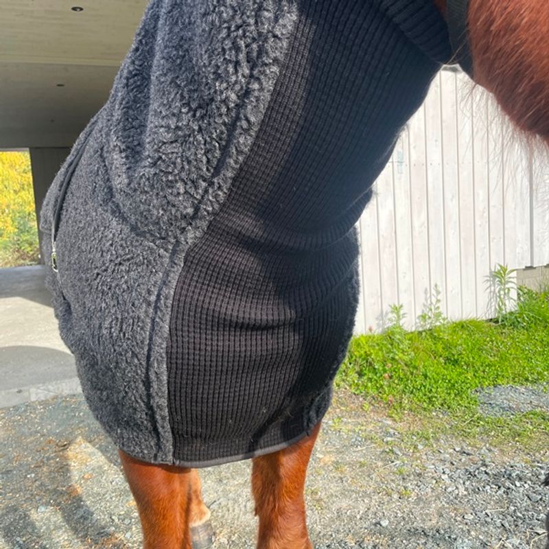 Viðar ulldekken Hest