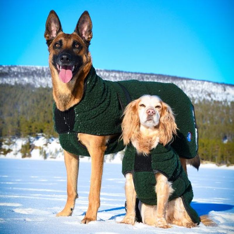 Selva wool coat dog