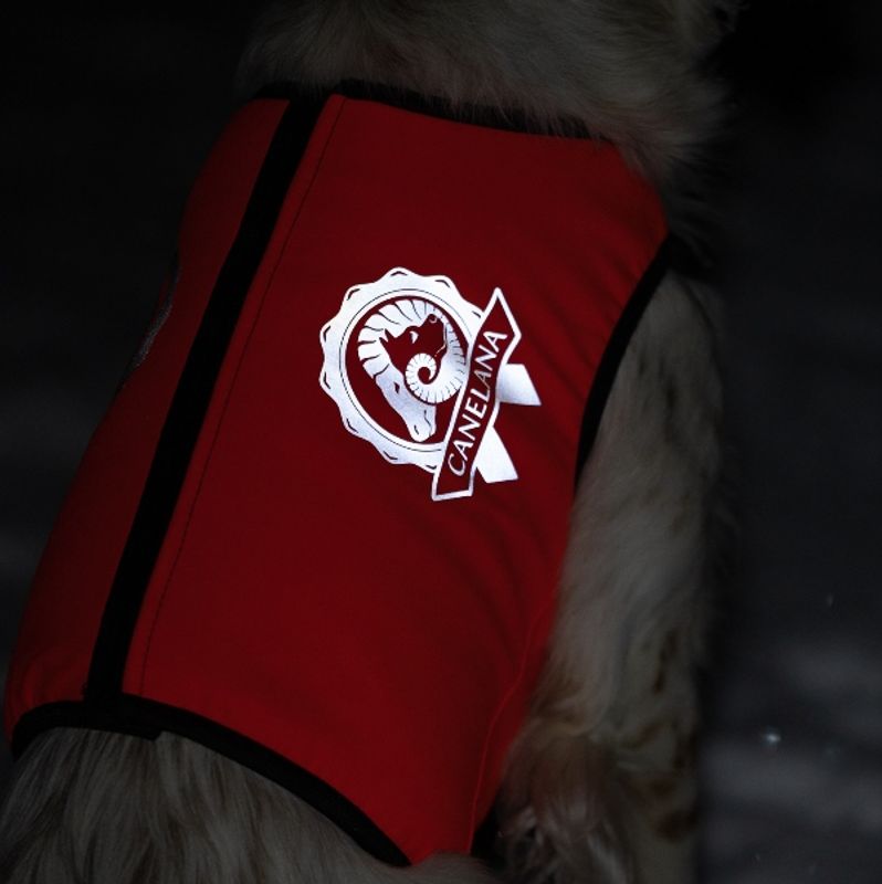 Signal- Protection vest dog with 100% wool lining dog