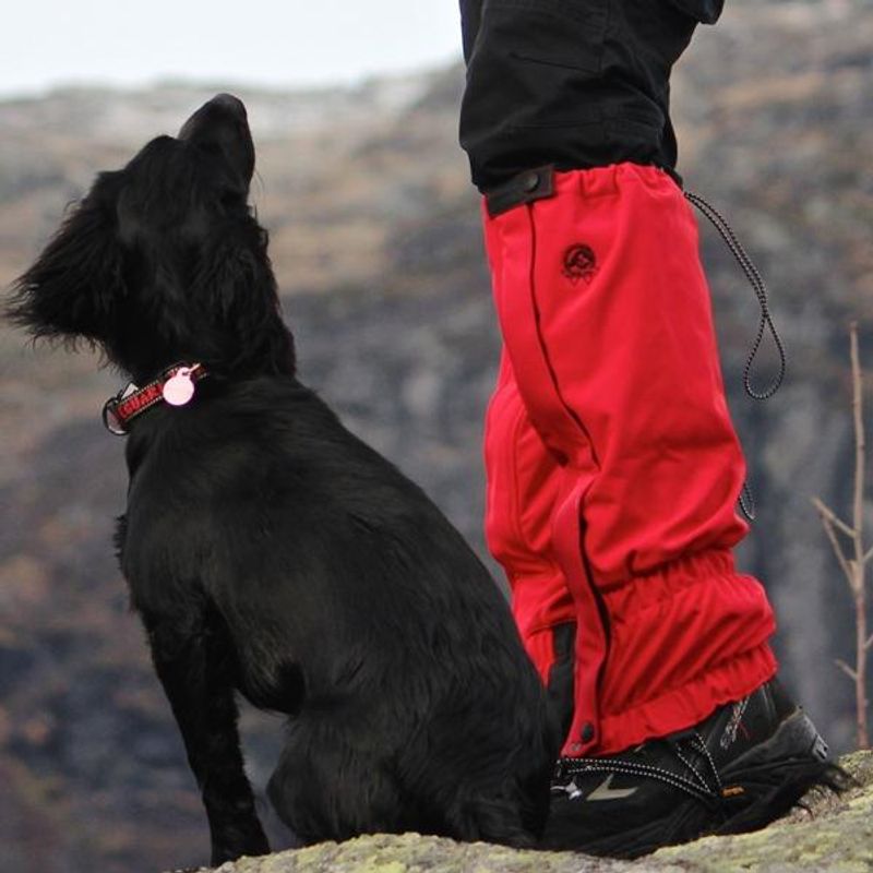 Canelana gamasjer i softshell - redusert pris