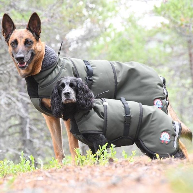 Thermo green - thick 100% wool dog coat with softshell 
