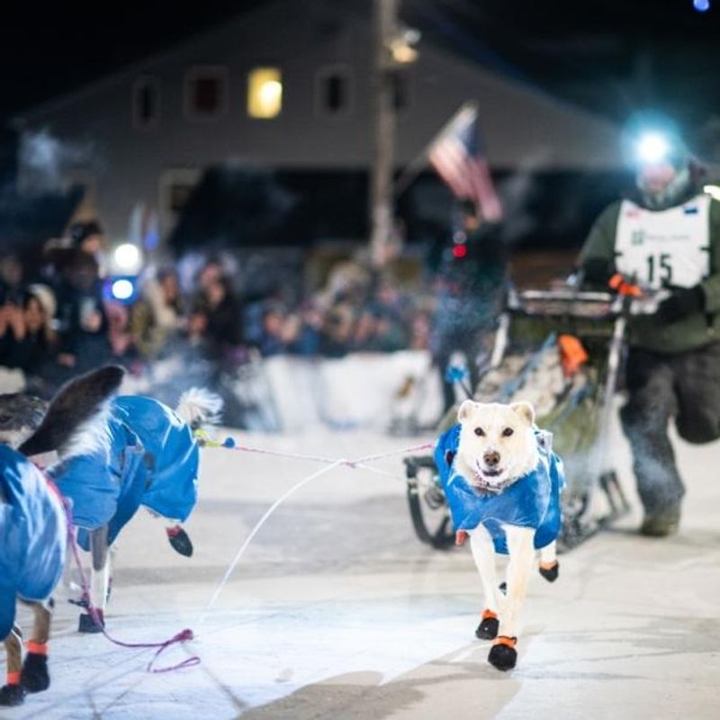 Canelana Racing - 4-7 pcs