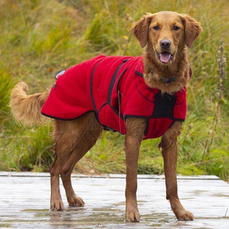 Lana rød - tynt ulldekken hund