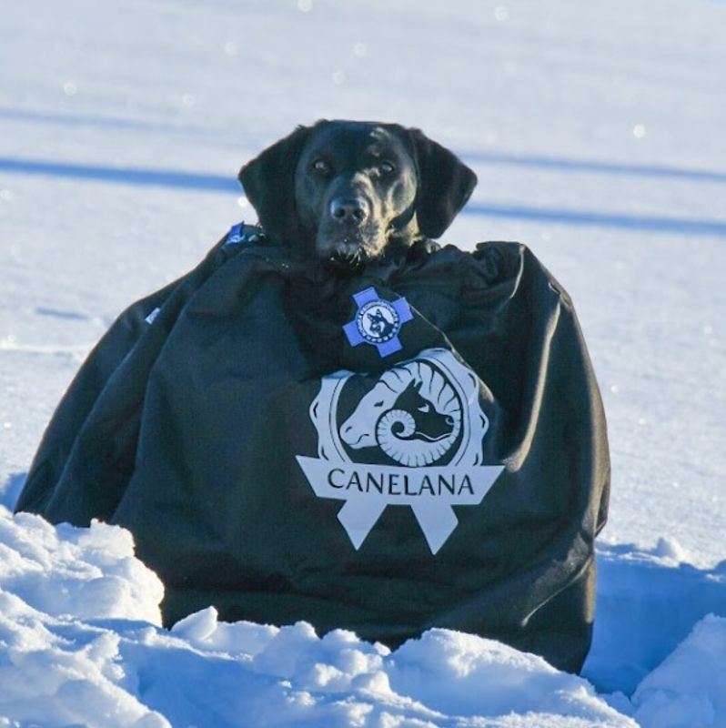 Canelana Shelter beskyttende vind-/varmepose hund