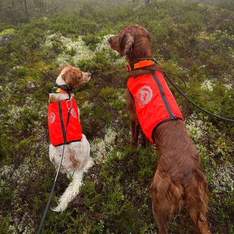 VISIO synlighets- og jaktdekken