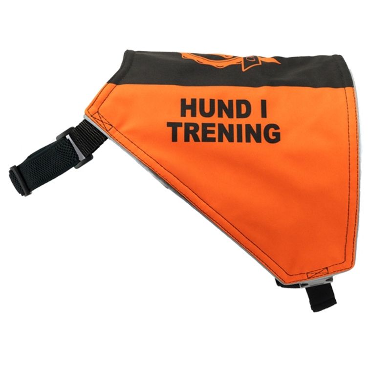 Canelana markeringsdekken-treningsvest hund: hund i trening